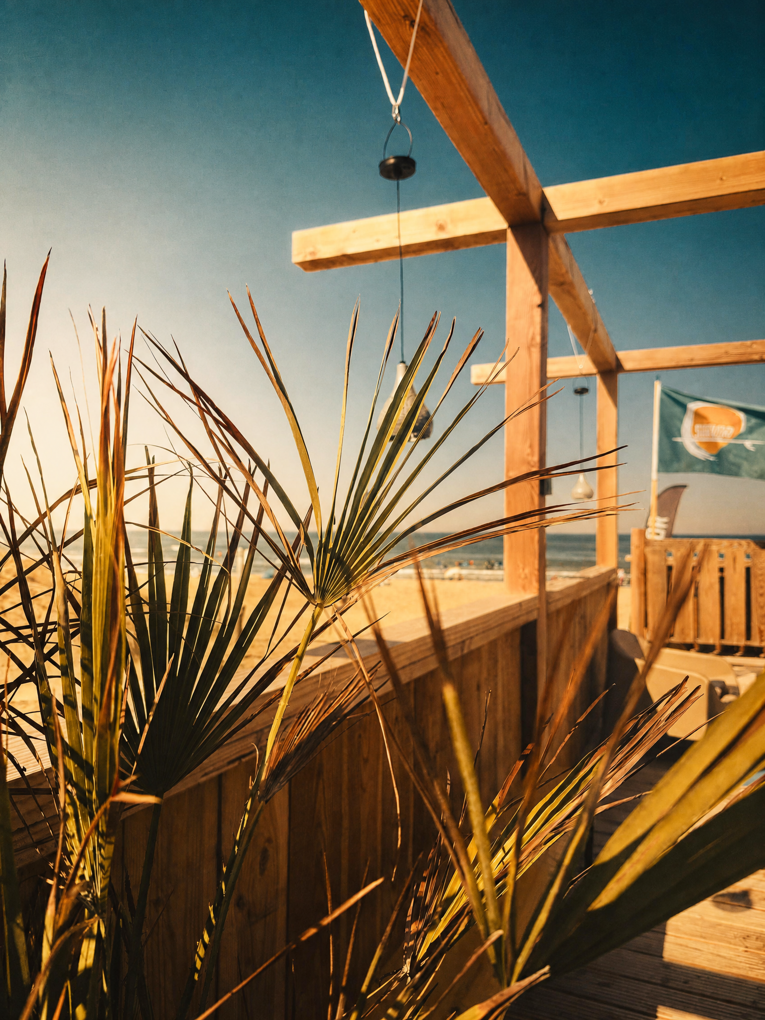 Surfivor Home Base homepage